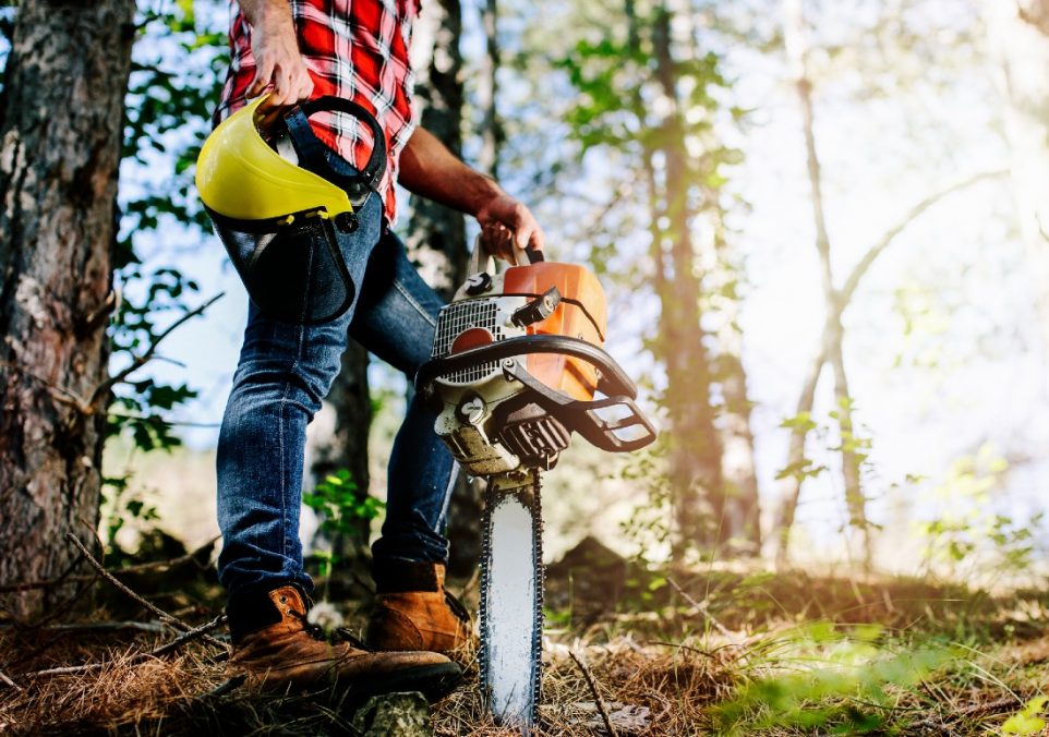 beginners guide to chainsaws