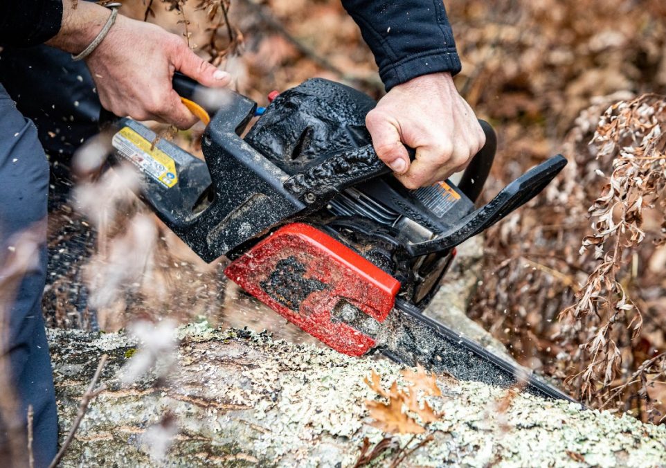 electric vs gas chainsaw