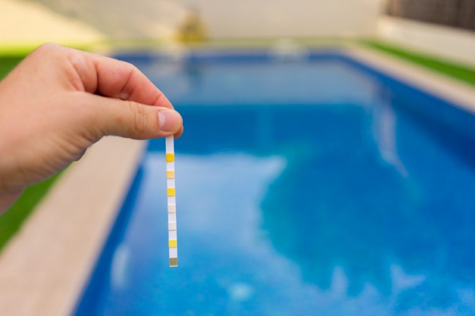 best pool test strips in 2024