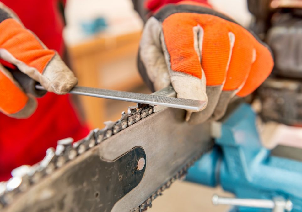 sharpening a chainsaw